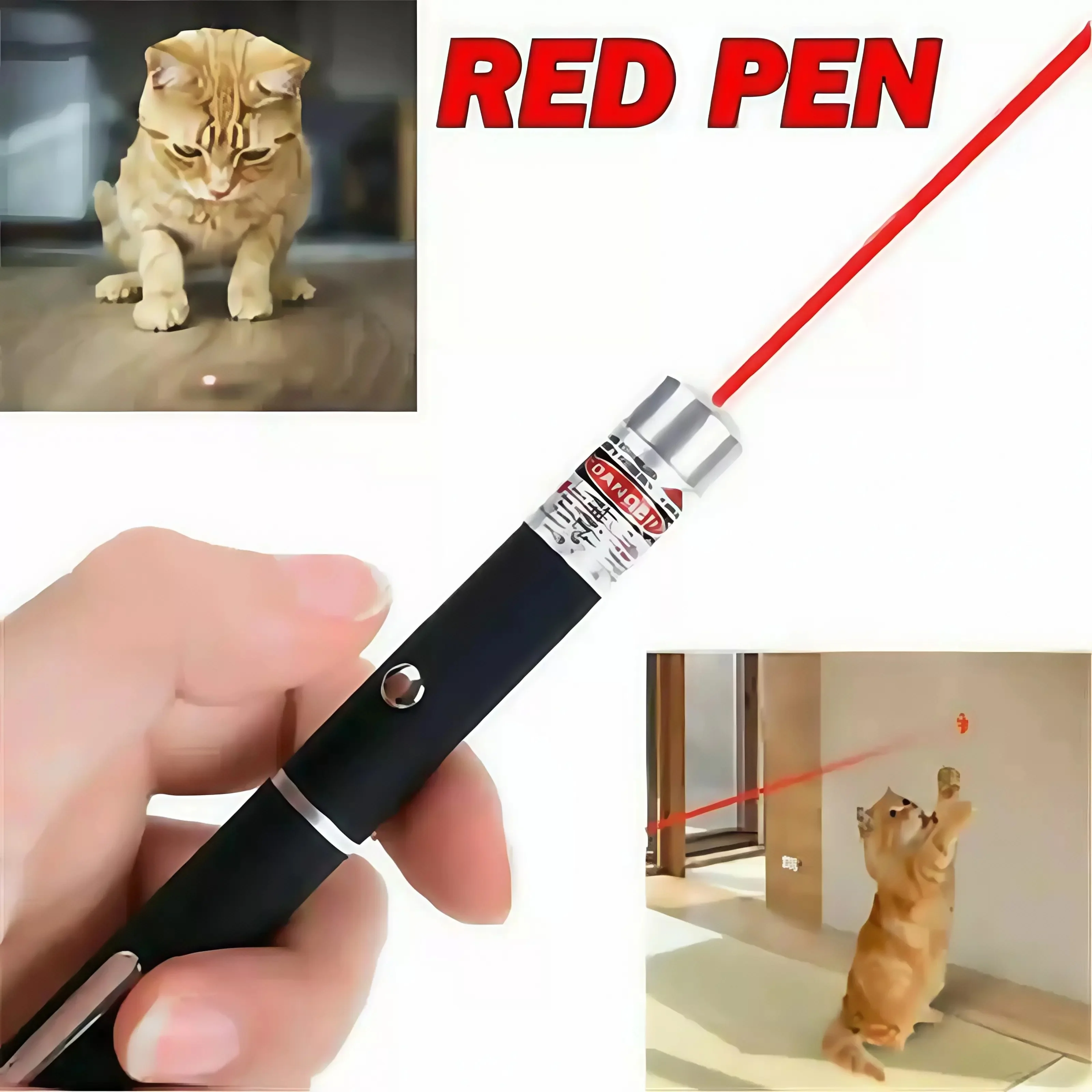 레드 레이저 포인터 펜 - 고양이/강아지 장난감용 장거 - Laser Pointer Presenter 리뷰 및 가격